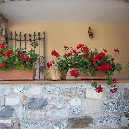 Апартаменты Casa Rita App 3 Tremosine