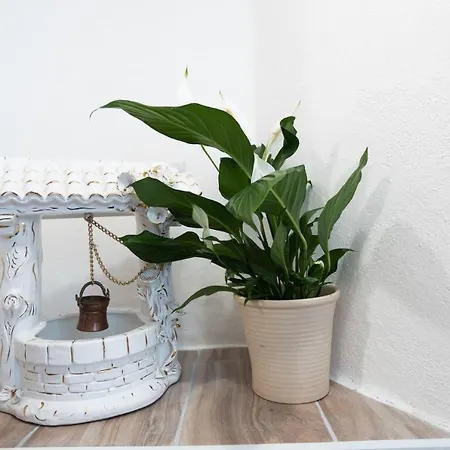 Apartment Casa Rita App 3